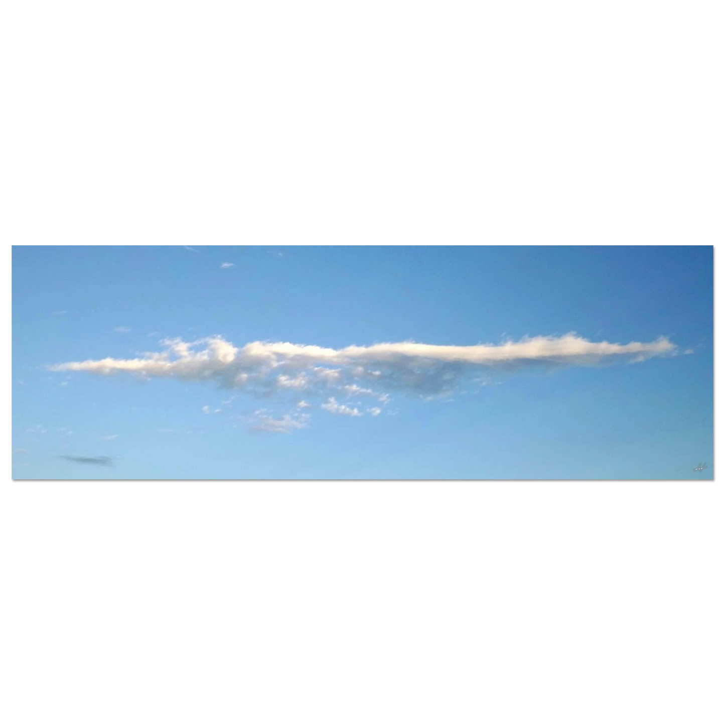 0707b153-15f8-41f7-8e9d-42d88bfc13ad