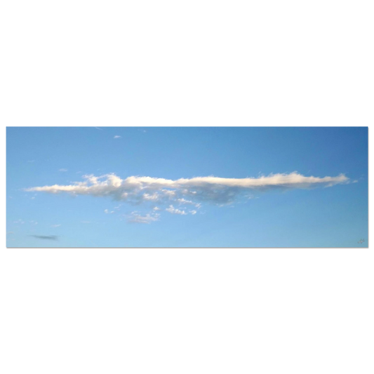 0707b153-15f8-41f7-8e9d-42d88bfc13ad