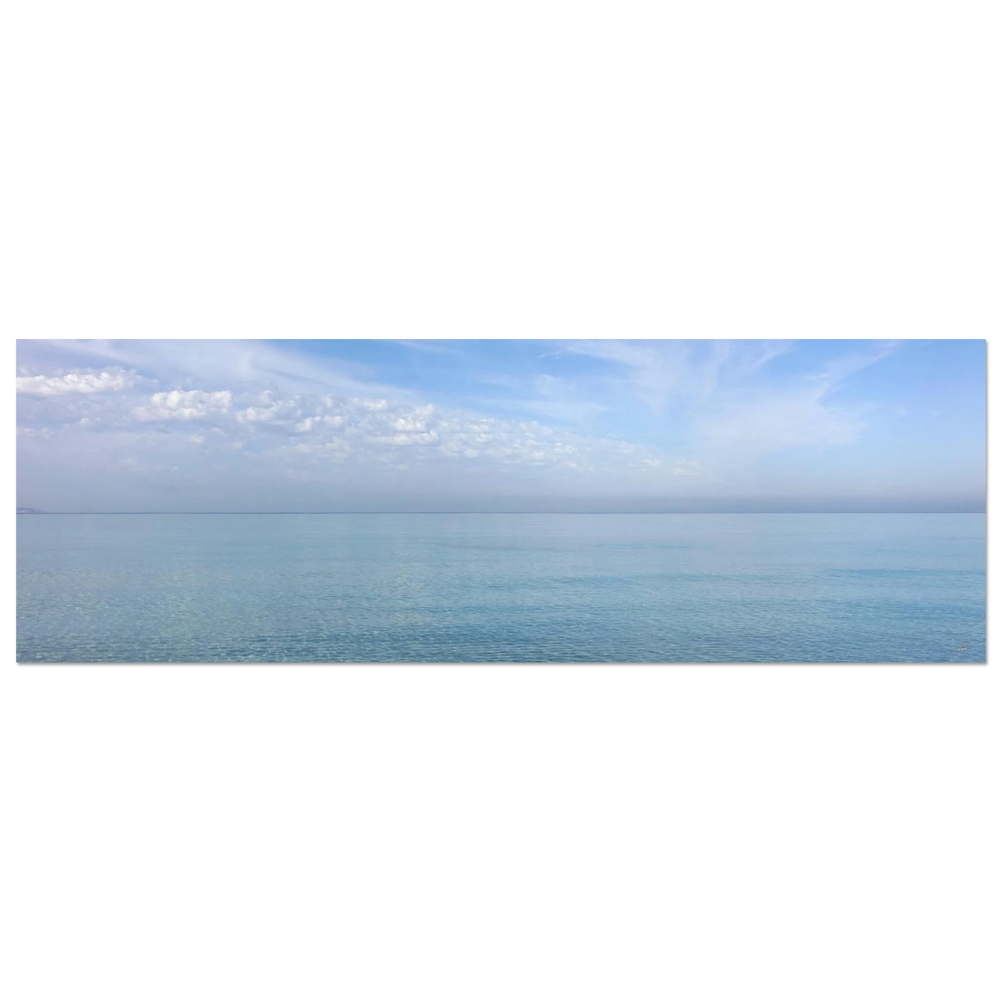 77e71619-3d3c-441b-809f-2d5a03137c6d