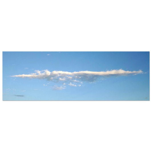 b00d0dbf-0ff2-475a-90a1-bb5e471fbc47